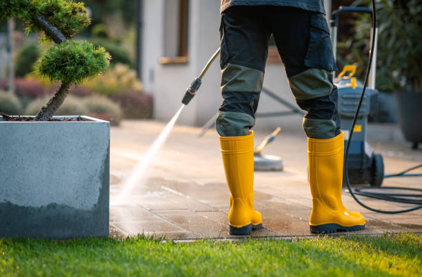 Best Residential Pressure Washing Services  in Benson, AZ